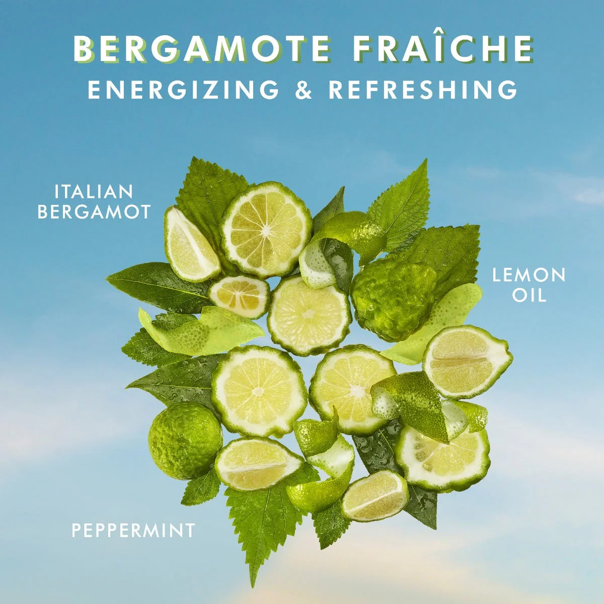 Handseife Bergamote Fraiche - Image 4